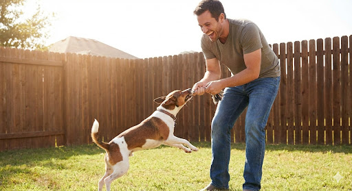 Why Every Dad Needs a Rat Terrier: A Decade Through Fur, Loss, and Coming Home